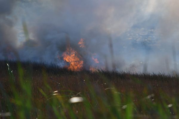 Incêndio atinge área de mata no bairro Polo Industrial Piracema, na Serra