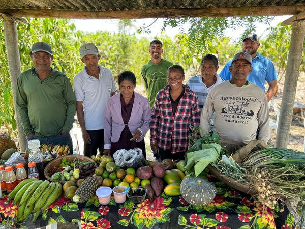 Na comunidade rural de Cachoeira do Riacho, em Aracruz, agricultores ganharam autonomia para cultivarem terras