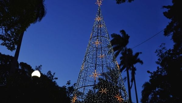 Luzes ficam acesas até o dia 6 de janeiro; espaço conta com Casa do Papai Noel e árvore gigante com mais de 10 metros de altura
