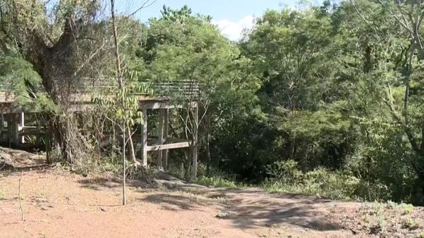 Área de mata onde corpo foi encontrado no bairro Fradinhos