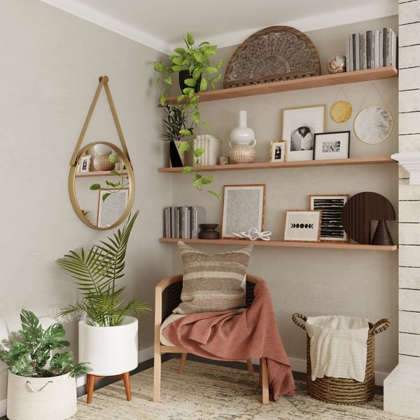 Dicas de plantas para decorar a casa