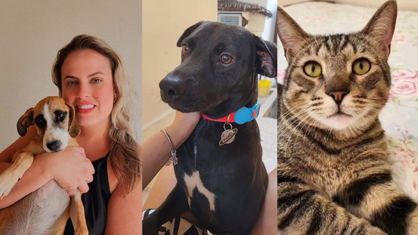 Carolina Sanches se divide entre cuidar dos pacientes pelo SUS e dar atenção a cães e gatos em situação de rua. São mais de 50 animais sob seus cuidados