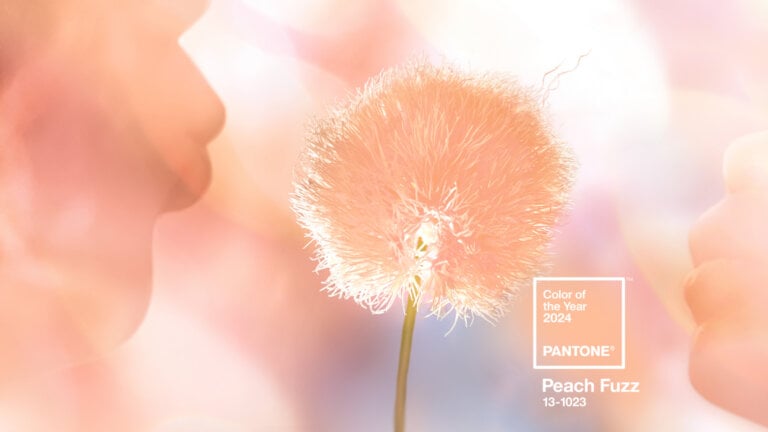 Cor Pantone 2024: Como usar Peach Fuzz no Feng Shui para potencializar energias