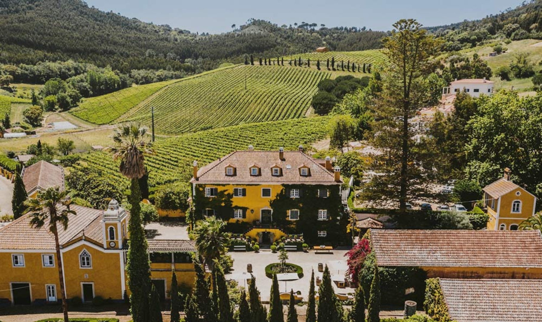 Viticultura evoluiu de forma considerável no entorno da capital portuguesa, dando origem a vinhos únicos e de qualidade singular