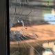 Imagem - Homem morre e decoradora é ferida em ataque a tiros em Vila Velha
