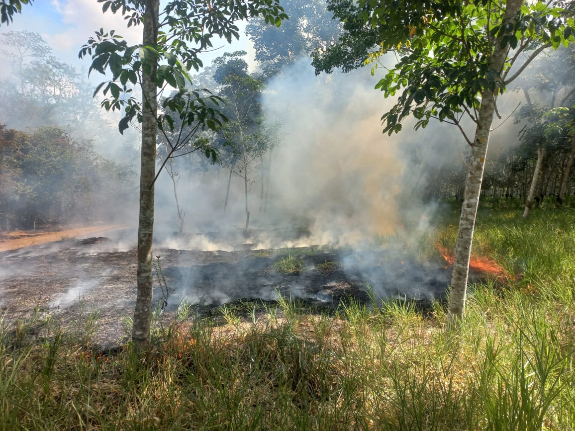 Com o avanço das chamas, propriedades rurais também já são afetadas. Parte do fogo já foi combatido, mas ainda existem focos de incêndio no interior da mata
