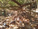 Zona de Proteção Ambiental na Serra sofre com poluição(Millena Ribeiro )
