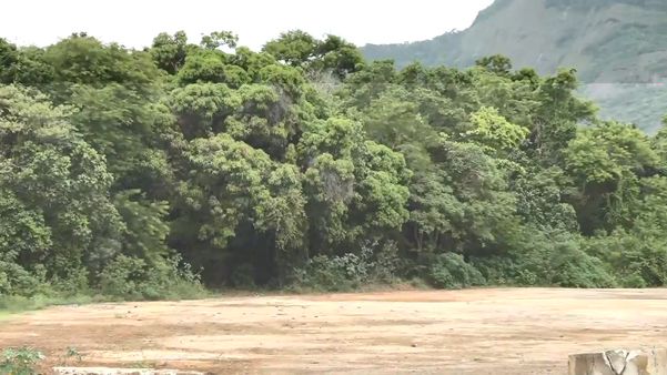 Corpo de jovem sequestrado é encontrado em região de mata de Vale dos Reis, em Cariacica