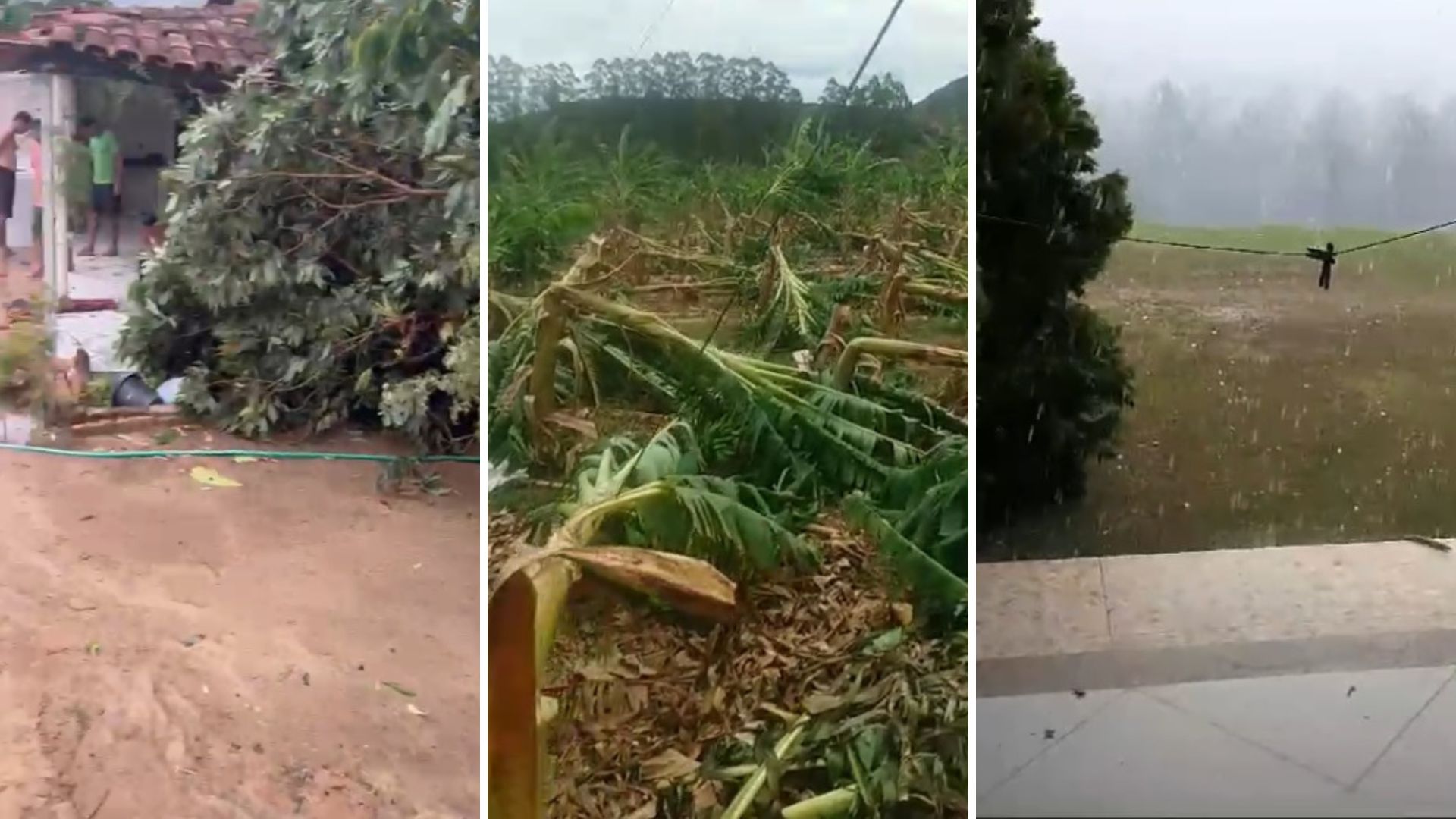 Houve registro de quedas de árvores – com uma casa atingida, e também de plantação de bananas devastada pela tempestade em localidades do município na tarde de terça-feira (12)