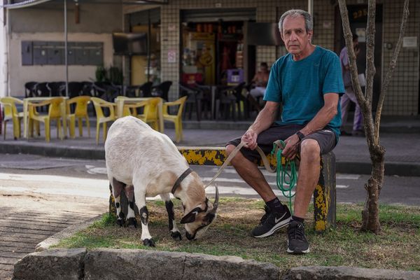 Julio Oliveira com sua cabra de estimação  por Vitor Jubini
