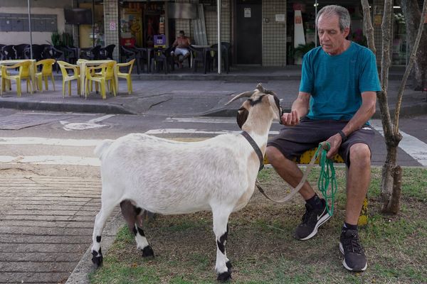 Julio Oliveira com sua cabra de estimação  por Vitor Jubini