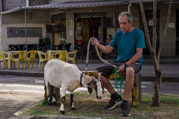 Julio Oliveira com sua cabra de estimação  por Vitor Jubini