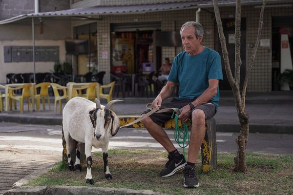 Julio Oliveira com sua cabra de estimação  por Vitor Jubini