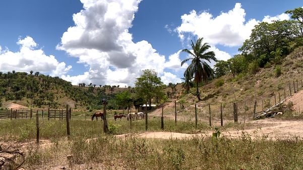 undefined por Raphael Verly