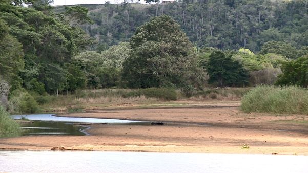 undefined por Raphael Verly