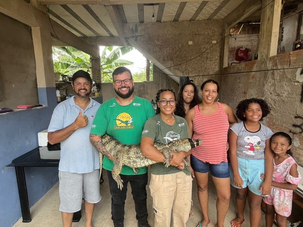 Jacaré é resgatado de uma ribanceira em Cariacica por Instituto Caiman