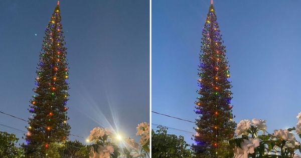 Enfeitar a árvore na época de Natal é um costume na residência da família Dalla Bernadina; tradição já dura mais de 15 anos
