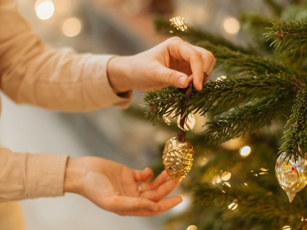 Concurso da Árvore de Natal de A Gazeta vai premiar três vencedores
