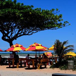 Resultado vale até a próxima sexta-feira (23) e contrasta com o levantamento publicado no início da semana, quando 21 dos 26 pontos analisados estavam impróprios