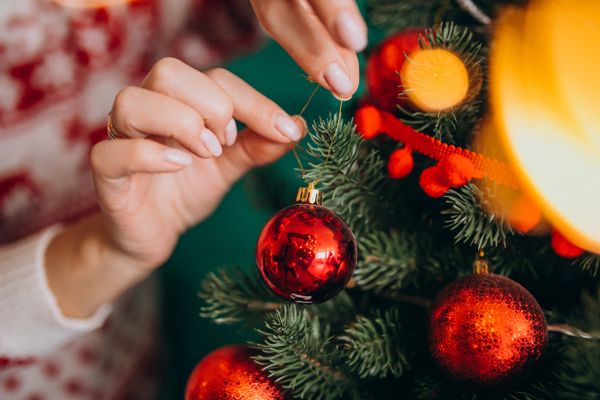 Público escolheu as três árvores de Natal mais bonitas do Espírito Santo entre as dez classificadas para a segunda fase