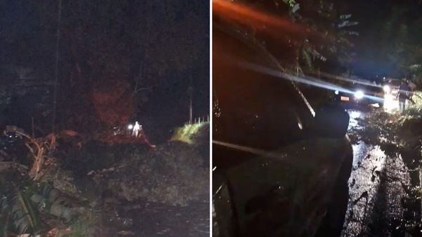 Chuva provoca queda de árvore e interdita estradas em Alfredo Chaves