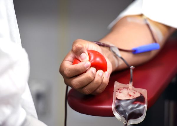 Doação de sangue 