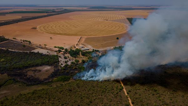 Desmatamento em área de Cerrado
