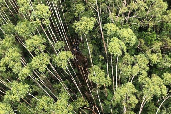 Destroços de helicóptero desaparecido no réveillon foram encontrados no dia 12 de janeiro, no trajeto entre São Paulo e Ilhabela