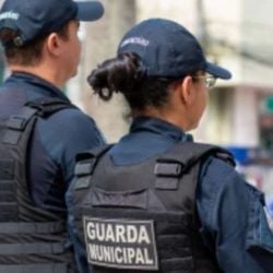 Neste ano, o STF definiu ser possível que guardas municipais atuem como polícia, mas não autorizou a mudança do nome