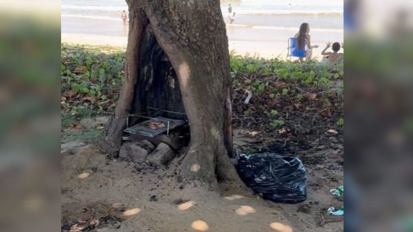 Árvore é utilizada como churrasqueira por frequentadores da Praia Formosa em Aracruz