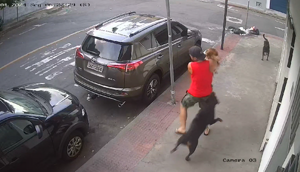 Educador canino sofre fratura após se deparar com Rottweiler’s soltos no ES