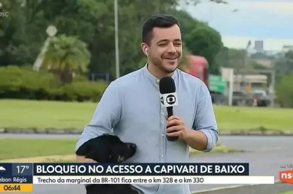 Repórter de afiliada da Globo faz carinho em cão durante entrada ao viv