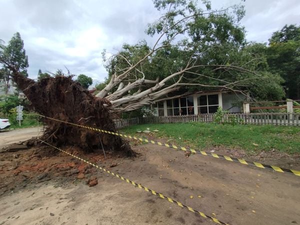 Fortes chuvas destruíram Centro Cultural em Nova Venécia