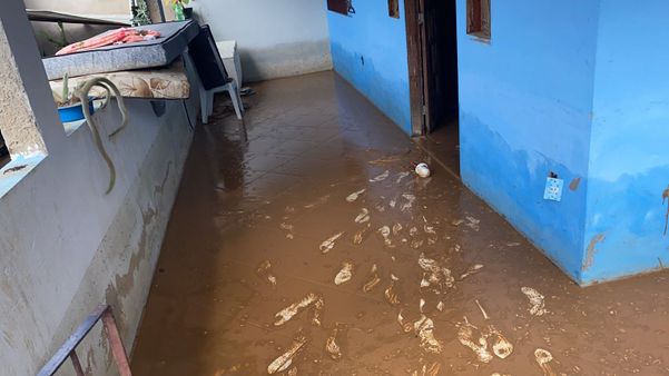 Chuva causa estragos e deixa prejuízo para morador de Viana há 4 anos