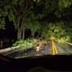 Imagem - Rajadas de vento chegaram a quase 100 km/h durante temporal em Linhares