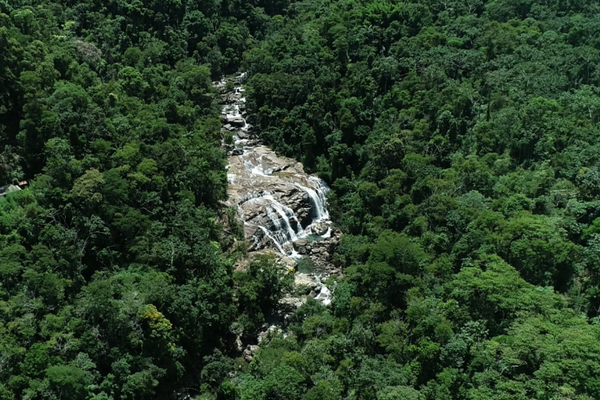 Cachoeira do Rogério, em Iúna, fica rodeada de vasta vegetação