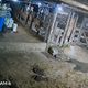 Imagem - Polícia busca por suspeito de roubo a gado em fazenda de Linhares