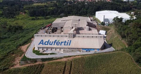 Nova unidade será em parceria com Adufértil, que atua no setor, gerando aproximadamente 390 empregos diretos e indiretos; empresa de Campinas (SP) vai passar a importar pelo porto capixaba Portocel