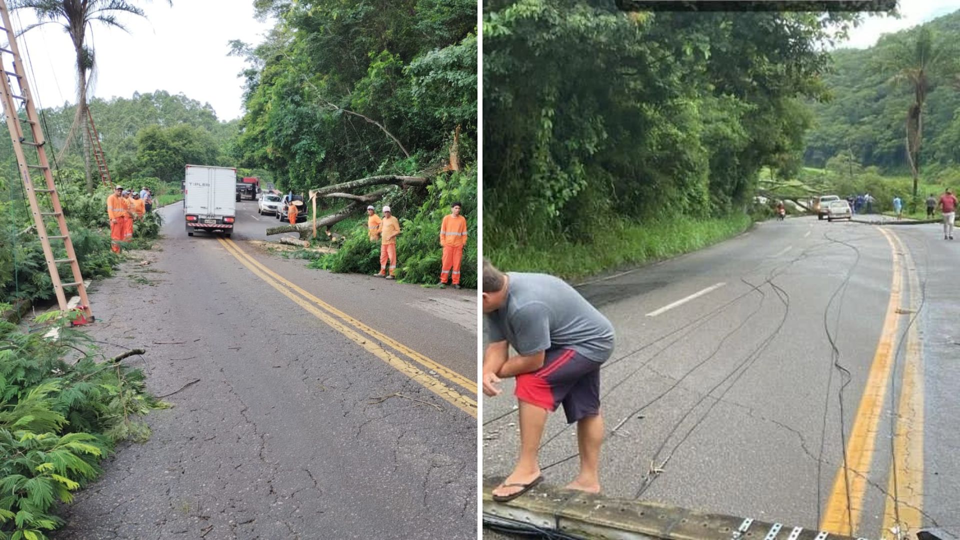 Houve quedas em diferentes pontos da rodovia, que liga o município à Venda Nova do Imigrante; equipes atuam na limpeza da estrada