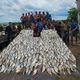 Imagem - Casal pesca 3 toneladas de peixes e doa para comunidade no interior de Nova Venécia