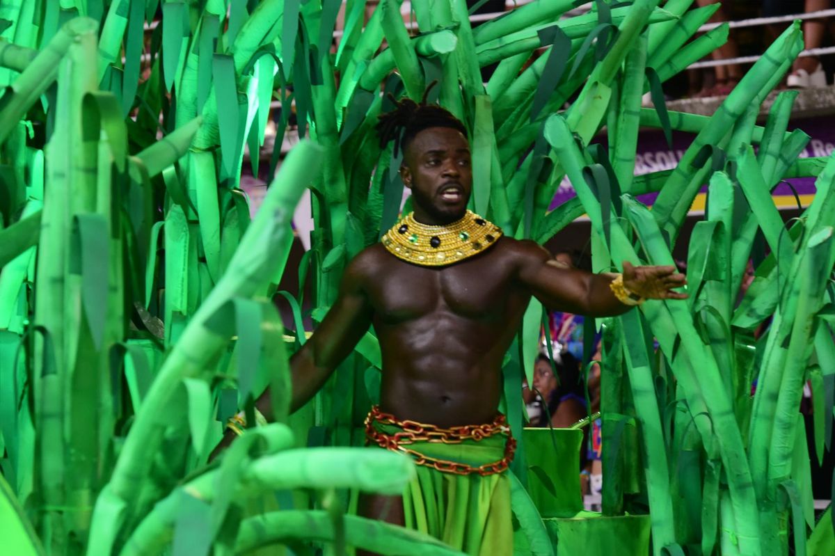 Confira o desfile da Boa Vista no Carnaval de Vitória 2024   por Carlos Alberto Silva