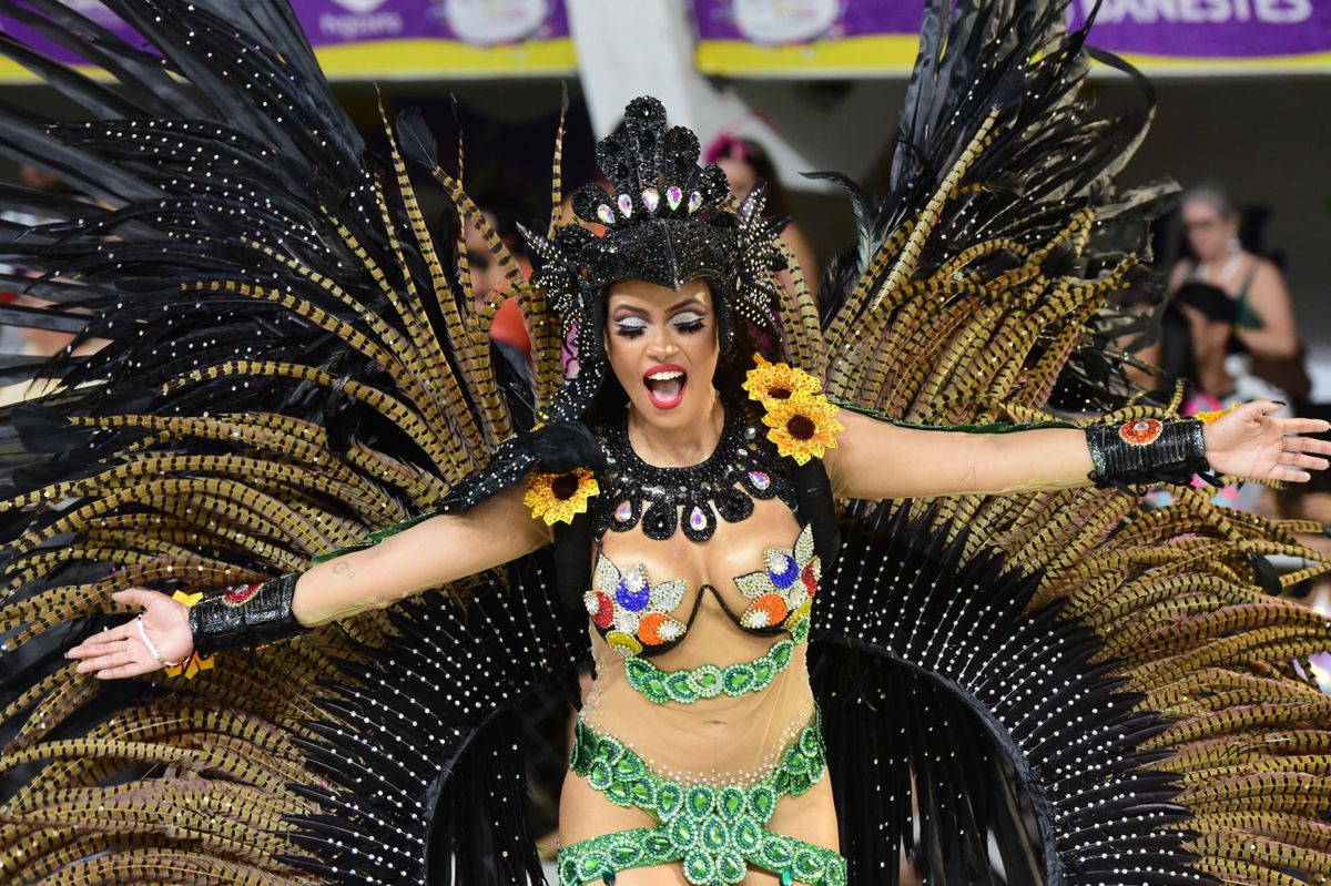 Confira o desfile da Boa Vista no Carnaval de Vitória 2024   por Carlos Alberto Silva