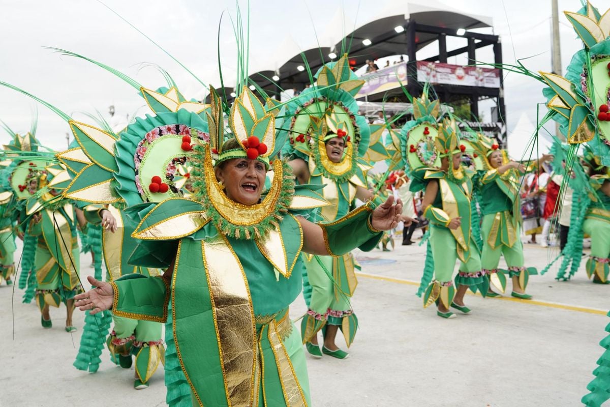 Confira o desfile da Pega no Samba no Carnaval de Vitória 2024 por Fernando Madeira