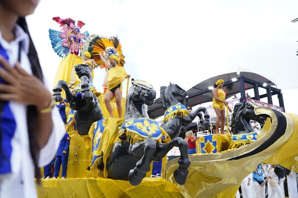 Confira o desfile da Pega no Samba no Carnaval de Vitória 2024 por Fernando Madeira
