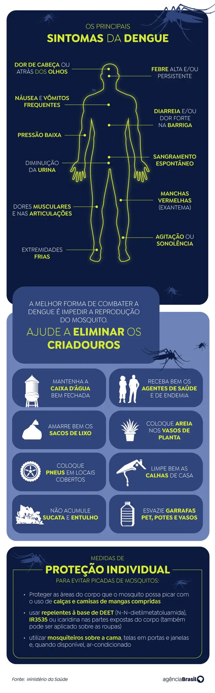 Infográfico sobre dengue 