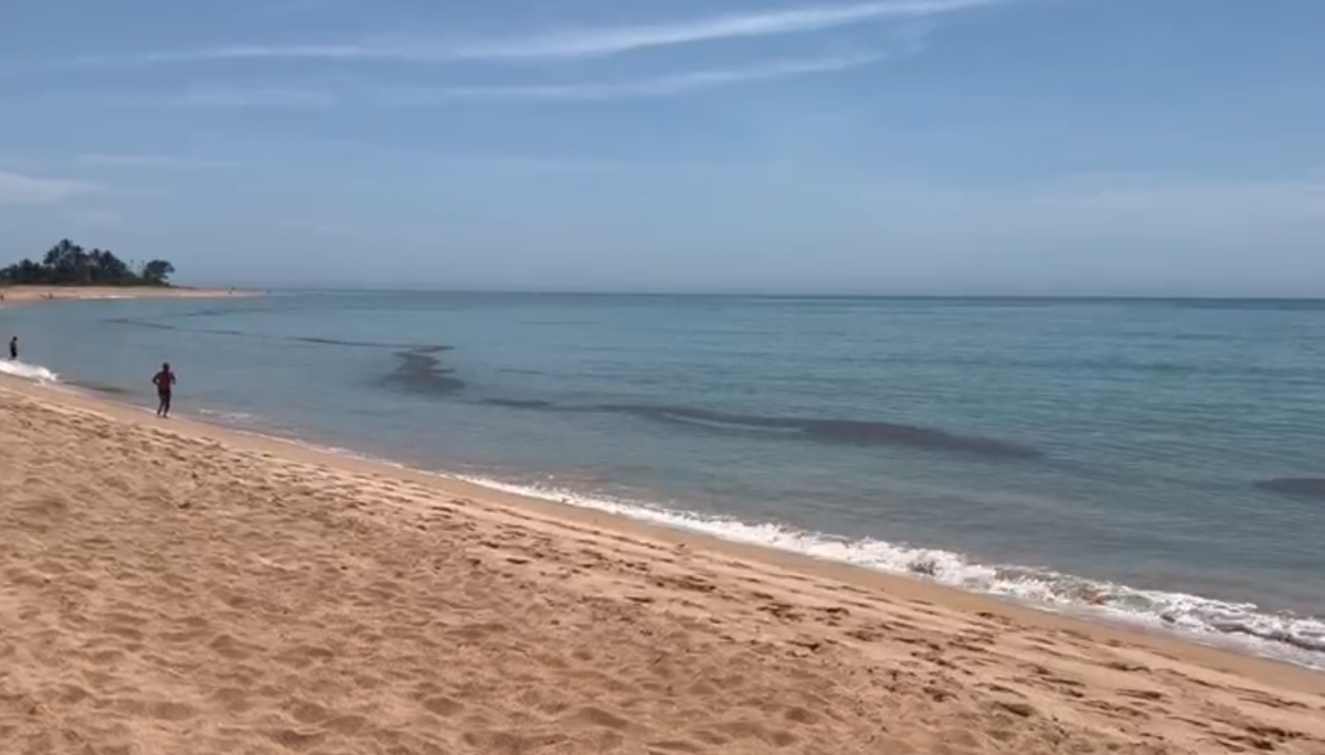 Morador registra presença de mancha preta em praia da Serra