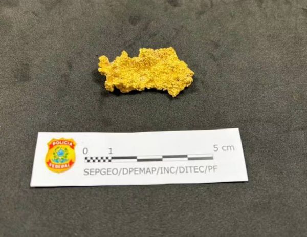 Pepita de ouro apreendida na casa de Valdemar Costa Neto