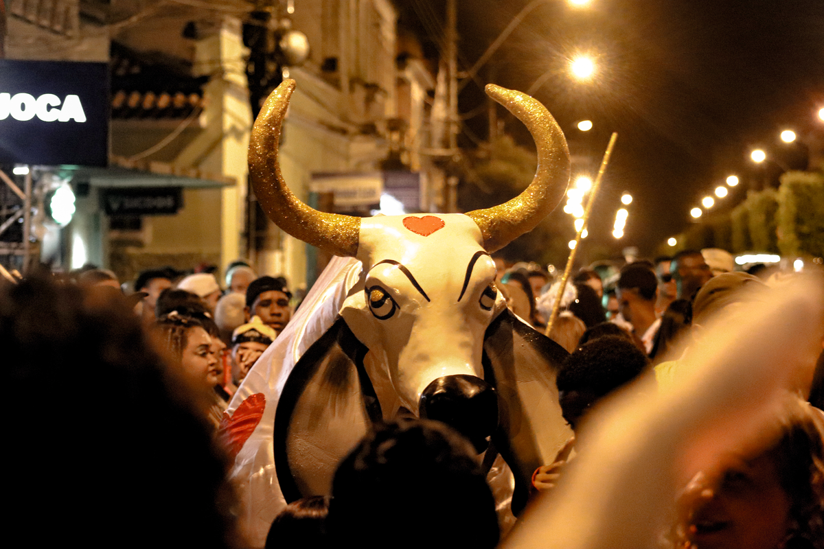 Tradicional Carnaval do Boi de Muqui acontece neste fim de semana