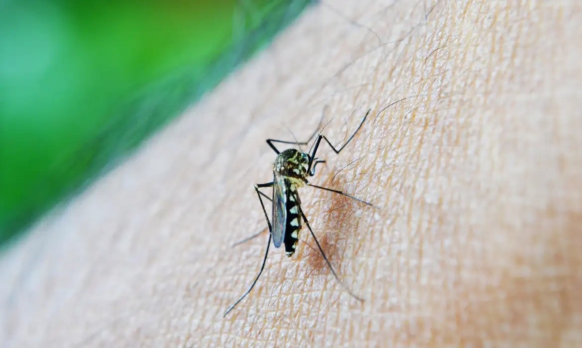 Até o momento, foram notificados 54.568 casos de dengue no Estado; foram confirmadas seis mortes pela doença