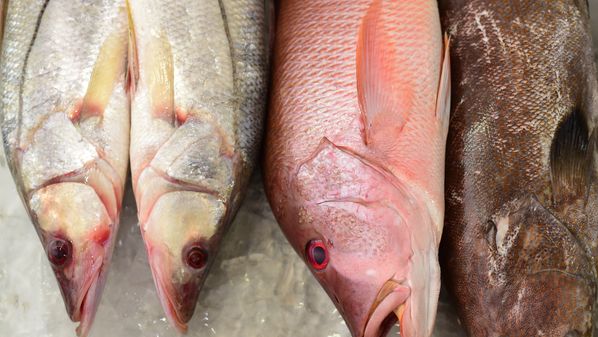 O presidente dos Estados Unidos, Donald Trump, anunciou a ampliação da lista de isenções da tarifa de 40% para incluir mais produtos agrícolas do Brasil